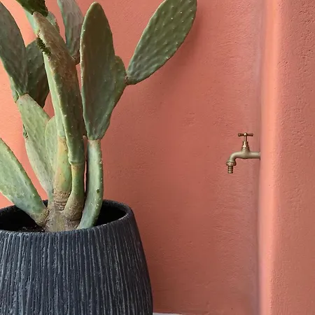 Pink Freud Santorini *
