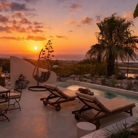 Pink Freud Santorini 이아