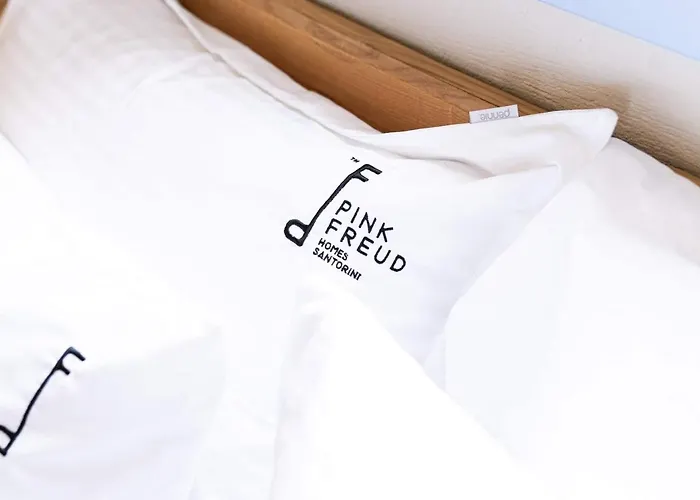 Pink Freud Santorini 이아