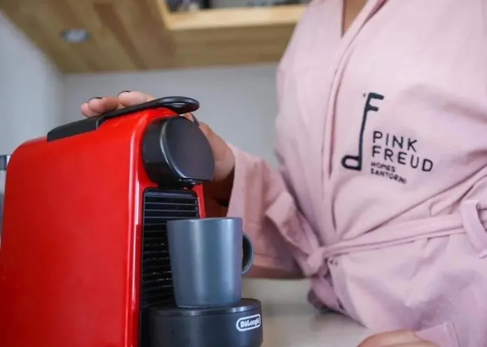 빌라 Pink Freud Santorini