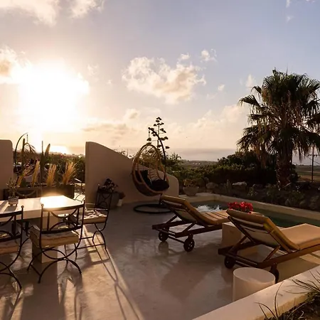 Willa Pink Freud Santorini *